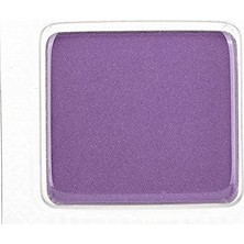 Pratik Ev Göz Farı-Freedom System Eye Shadow Ds 493'LI