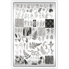 Pratik Ev Stamping Baskı Plakası Xl Doğa 03