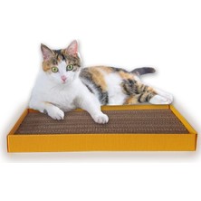 Kedi Tırmalama Dalgalı Ondüle Karton Kutulu 24 cm x 48 cm (Sarı)