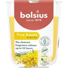 Mimosa Kokulu Bardakta Mum - Vegan & Doğal & Saf Koku Özlü -Palmiye Yağı Içermez - 25 Saat Yanma Süresi - Sarı Renkte - 80MM/73MM
