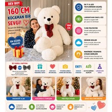 Özgüner Oyuncak 160 cm Dev Pelüş Ayı, Papyonlu ve Sarılmalık, Yumuşak ve Sevimli Büyük Boy, Sevgiliye Hediye (Krem)