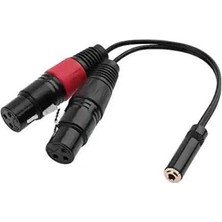 Pratik Ev 3.5 mm Stereo Dişi-2 Xlr Dişi Kablo 20 cm