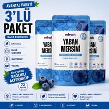 Dondurularak Kurutulmuş Yaban Mersini 3'lü Paket 3X20G | Dondurulmuş Kurutulmuş Meyve, Doğal Atıştırmalık, Katkısız, Glutensiz, Sağlıklı Atıştırmalık