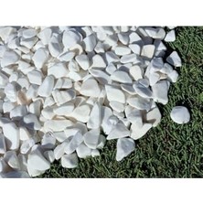 Pratik Ev Ahs Beyaz Dolomit Taş 4 Kg, 1-2 Cm, Dere Çakıl Taşı, Bahçe Peyzaj Süs Taşı, Saksı, Teraryum ve Akvaryum Taşı