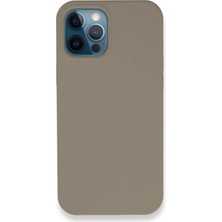 Apple iPhone 12 Pro Max Kılıf Lansman Legant Silikon - Yeşil