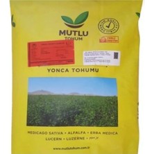 Dört Mevsim Tohumculuk Bilensoy 80 Kaplı Yonca Tohumu 1 kg Tartılıp Başka Ambalajda Gönderilecektir