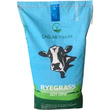 Dört Mevsim Tohumculuk Ryegrass - Süt Otu - Italyan Çimi 25 kg