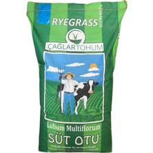 Dört Mevsim Tohumculuk Ryegrass - Süt Otu - Italyan Çimi Çağlar 25 kg