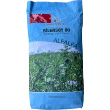 Dört Mevsim Tohumculuk BILENSOY80 Yonca Tohumu 10 kg (Sertifikalı - Kaplamalı)