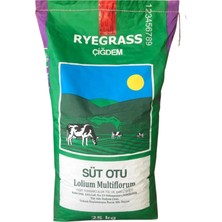 Dört Mevsim Tohumculuk Ryegrass - Süt Otu - Italyan Çimi 25 kg