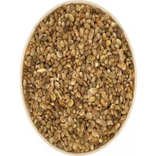 Dört Mevsim Tohumculuk Korunga Arı Otu Tohumu 1 kg Tartılıp Başka Ambalajda Gönderilecektir.