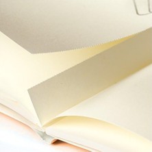 LEUCHTTURM1917 355531 Jottbook Medium (A5), 60 Numaralı Sayfa, Boş, Altın, Ikili Pakette