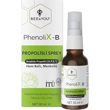 Pratik Ev Bee & You Phenolix Boğaz Spreyi 30 ml