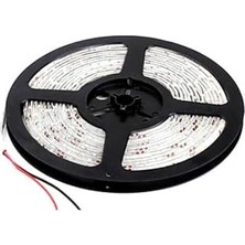 Pratik Ev 12V 60 LED Dış Mekan IP65 Sarı Şerit Led, 5 Metre