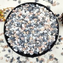 Odea Tr 2 Lb Etli ve Kaktüs Çakıl Taşları, 1/5 Inç Doğal Dekoratif Cilalı Taşlar, Vazolar, Akvaryumlar, Teraryum ve Açık Hava Bahçeciliği Için Nehir Kayaları, Karışık Renkli