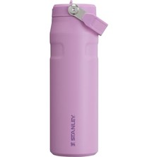 Pratik Ev Iceflow™ Aerolight™ Flip Straw 2.0 Pipetli Termos Su Şişesi 0.7 L - Lila, Paslanmaz Çelik