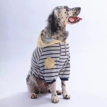 Pawstar 26769 Sarı Seattle Pitch Büyük Irk Hoodie Sweatshirt
