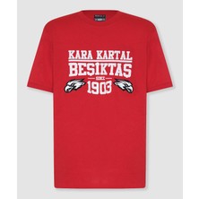 Krtlyvs Beşiktaş Erkek T-Shirt 7627124