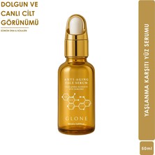 Store Yaşlanma Karşıtı Yüz Serumu | 50ML | Somon Dna & Kolajen | Sıkılaştırıcı ve Dolgunlaştırıcı Bakım