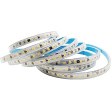 Cata CT-4496 220V 10 Çip Şerit Led( Günışığı )(Yapışkanlı)