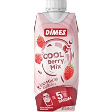 Pratik Ev Dimes Cool Berry 310 ml