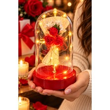 Biton Toptan Işıklı Mika Fanus Içinde Mini Kırmızı Gül Buketi Romantik Sevgiliye Hediye Dekoratif Aranjman 14 cm