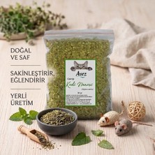 Avez Catnip Kedi Nanesi Nepeta Cataria 20 Gr - Yerli Üretim