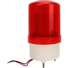 Powermaster PM-39277 AC220V Ikaz Lambası