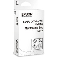 Epson T2950-C13T295000 Orijinal Bakım Kiti