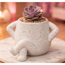 Kanem3D Hediyelik Eğlenceli Figürlü Mermer Desenli Plastik Malzeme Mini Sukulent Saksısı, Dekoratif Masaüstü Obje 6X10 cm
