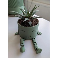 Kanem3D Neşeli Bacaklar Mini Saksı - Haki - Dekoratif Kaktüs ve Sukulent Saksısı