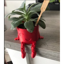 Kanem3D Neşeli Bacaklar Mini Saksı - Masa Üstü Dekoratif Kaktüs ve Sukulent Saksısı - Kırmızı