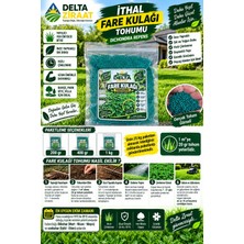 Fito Ithal Fare Kulağı Tohumu Dichondra Repens Çim Tohumu 200 gr / 400 gr / 1 kg