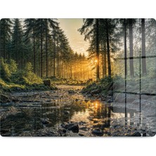 Reflexa Cam Kesme Tahtası Orman Manzaralı Çok Amaçlı 35X25 cm
