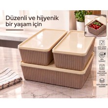 Azesur 3'lü Set Krem Rengi Kapaklı Kahverengi Saklama Kabı Seti - Çizgili Tasarım Buzdolabı Düzenleyici Organizer