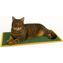 Happy Trend Mat Hem Soğuk Hem Sıcak Kullanılabilen 2si1 Arada Kedi & Köpek Minderi (Yeşil, Medium)