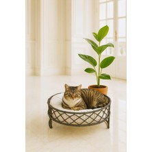 Happy Trend Yumuşak. Konforlu ve El Işçiliği Kedi Yatağı – Tüm Irklar Için Uygun (Antrasit)