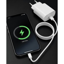 iPhone 14 13 12 Mini 11 Xr Xs x 20W Hızlı Şarj Adaptörü