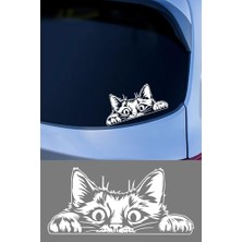 Bagajdan Bakan Kedi Oto Araba Sticker, Cam ve Metal Yüzeye Uygun, Vinil, Düz Desen, Mat, 15X15 Cm, Kendinden Yapışkanlı (Beyaz)