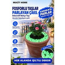 Mucit Home Fosforlu Teraryum Fanus Taşı Saksı Çiçek Dibi Taşları 50 Adet