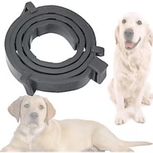 Mucit Home Köpek Pire ve Bit Kovucu Engelleyeci Tasma Boyunluk 62 cm