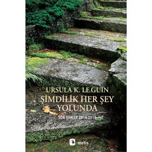 Şimdilik Her Şey Yolunda Son Şiirler 2014-2018