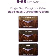 Prime Yoğun Göz Alıcı Renkler Saç Boyası 5-68 Kestane Saç Boyası