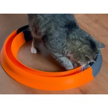 Alvera Kediler Için Halka Şeklinde Toplu Parkur Oyuncağı Yuvarlak Toplu Kedi Oyuncağı Turuncu