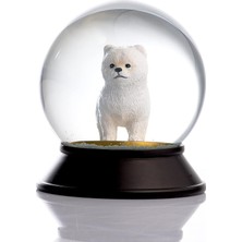 Prime Cam ve Reçine Altın Patiler Köpek Pomeranian Boo (Beyaz) Kar Küresi Hediye