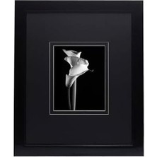 Prime Mikasa Parlak Siyah Galeri Duvar Çerçevesi 16X20 Mat 8X10, 18,82X0,87X22,76
