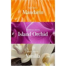 Prime Club Sea Splash Alüminyumsuz Tüm Vücut Stick Deodorant 85GR, 810077123201