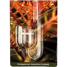 Prime Ista Cam Difüzör (M)