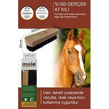 MOLE%100 Doğal At Kılı Deri Döşeme Temizleme Fırçası
