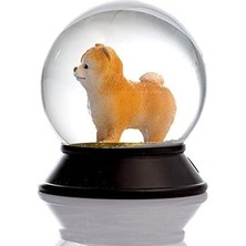 Prime Cam ve Reçine Altın Patiler Köpek Pomeranian Boo (Kayısı) Kar Küresi Hediye